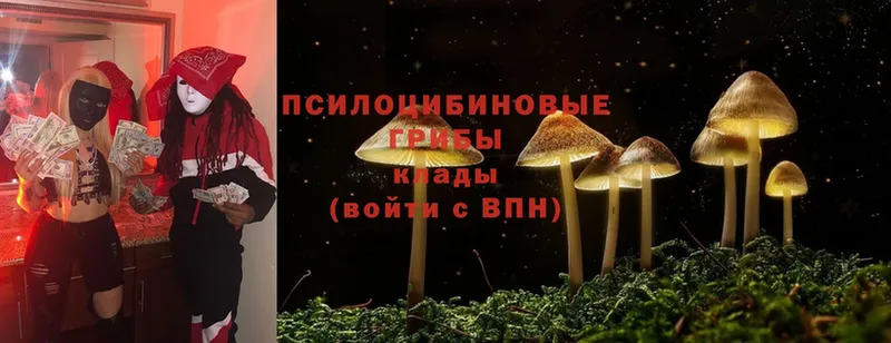 Псилоцибиновые грибы MAGIC MUSHROOMS  цены наркотик  Корсаков 